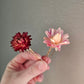 Dried Flower Hair Bobby Pins, Hair Accessories, Starflower (single pin)