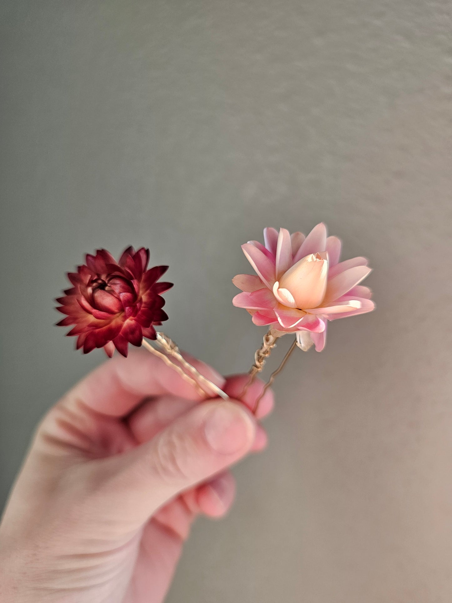 Dried Flower Hair Bobby Pins, Hair Accessories, Starflower (single pin)