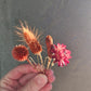 Dried Flower Hair Bobby Pins, Hair Accessories, Rust, Burnt Orange , set of 5