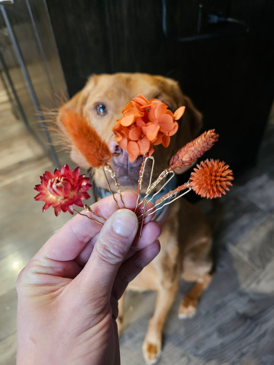 Dried Flower Hair Bobby Pins, Hair Accessories, Rust, Burnt Orange , set of 5