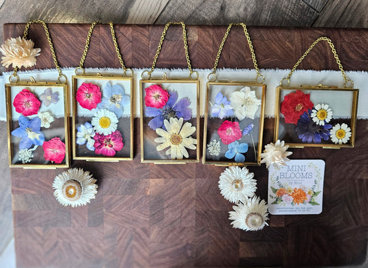 "mini" pressed flower frame, red, white and blue collection