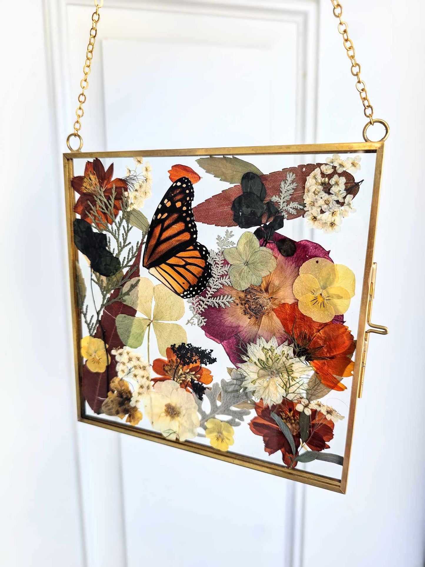 Vintage style gold square frame with pressed natural monarch wings, rust red, tan, natural and white flowers and leaves
